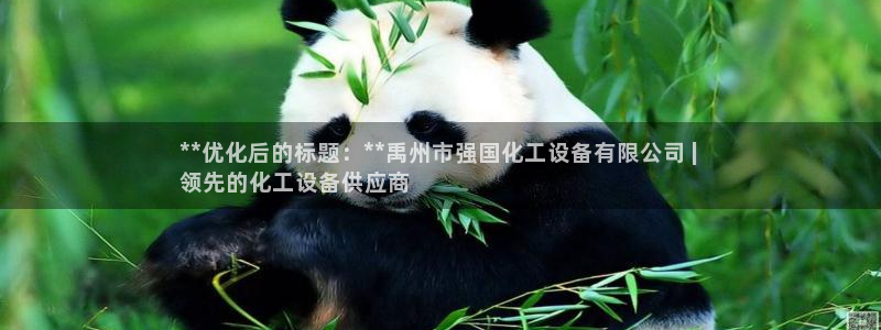 新航娱乐公司简介和历史背景介绍