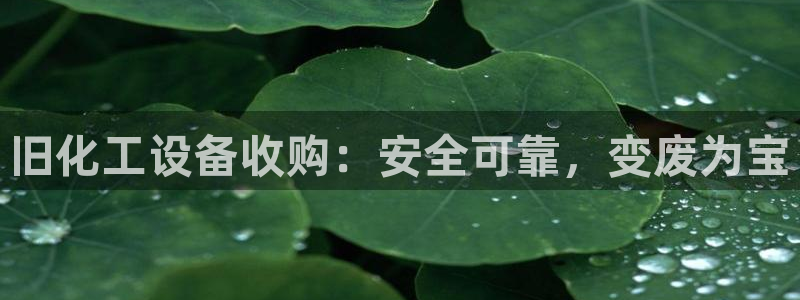 新航娱乐安卓版下载