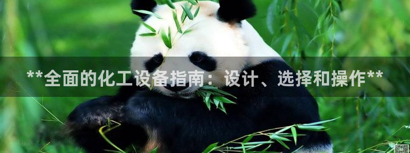新航娱乐账号注册和账号详情