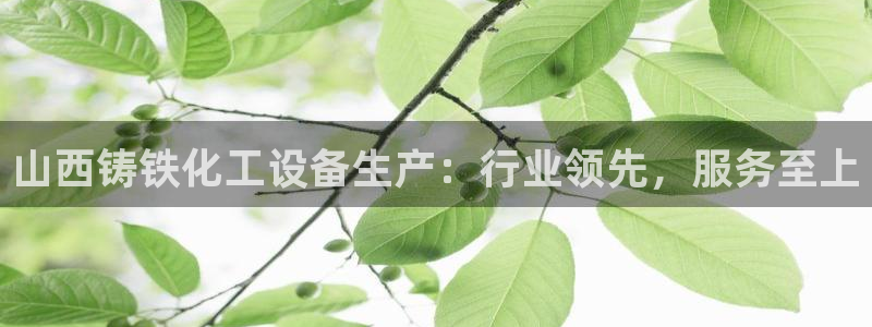 新航娱乐招商碰回复 485624 多少钱：山西铸铁化工设备生