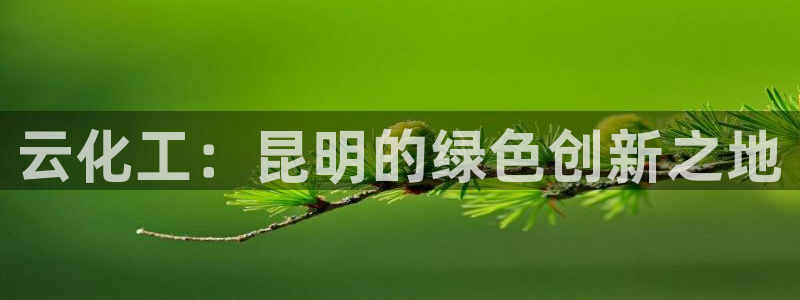 新航娱乐旗下艺人名单