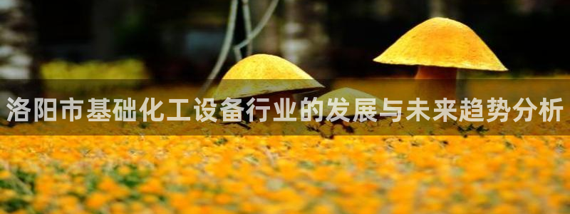 新航娱乐属于什么级别