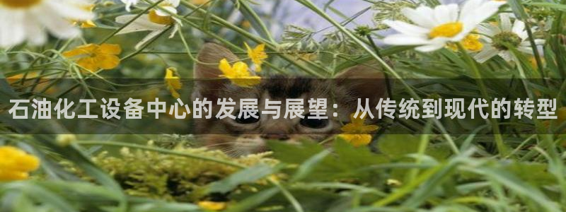 新航娱乐入.新航娱乐.几年了.长久.中国