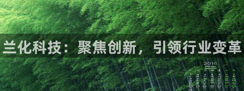 新航娱乐安卓版下载