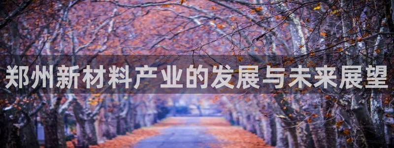 新航娱乐公司简介和历史背景怎么写