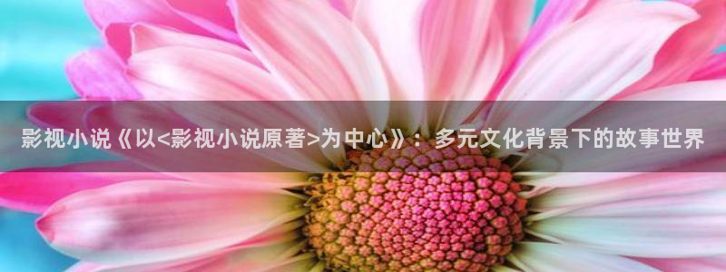 熊猫电影yy8y4：影视小说《以<影视小说原著>为中心》：多元文化背景下的故事世界