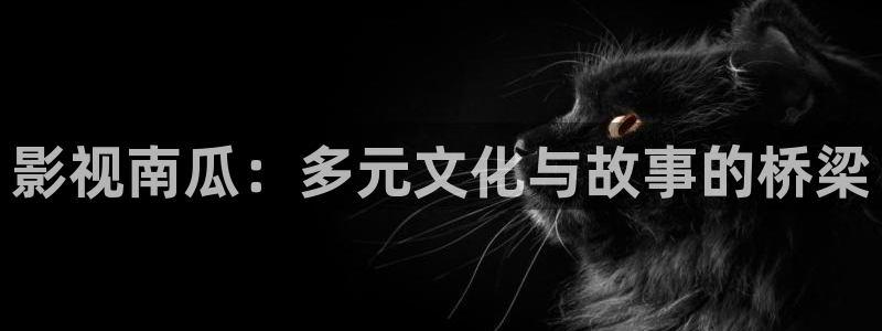 中华熊猫影视投资：影视南瓜：多元文化与故事的桥梁
