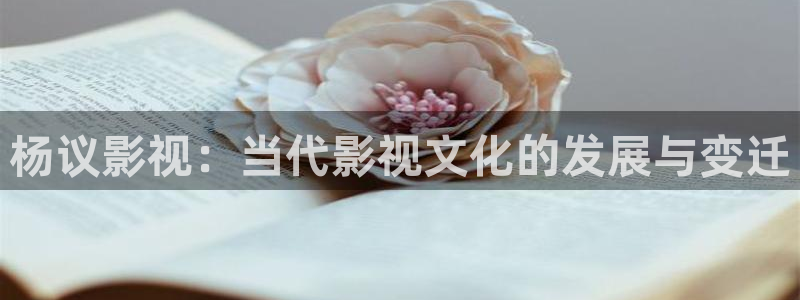 熊猫电影yy3y：杨议影视：当代影视文化的发展与变迁