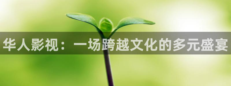 小熊猫电影：华人影视：一场跨越文化的多元盛宴