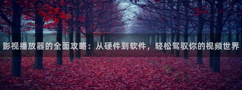 熊猫电影免费观看入口在哪里：影视播放器的全面攻略：从硬件到软件，轻松驾驭你的视频世界