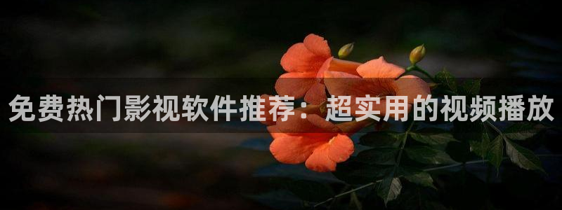 熊猫电影yy3y：免费热门影视软件推荐：超实用的视频播放