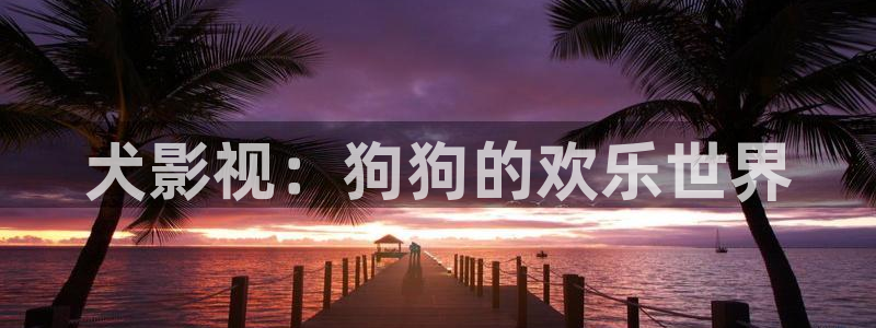 北京熊猫电视：犬影视：狗狗的欢乐世界