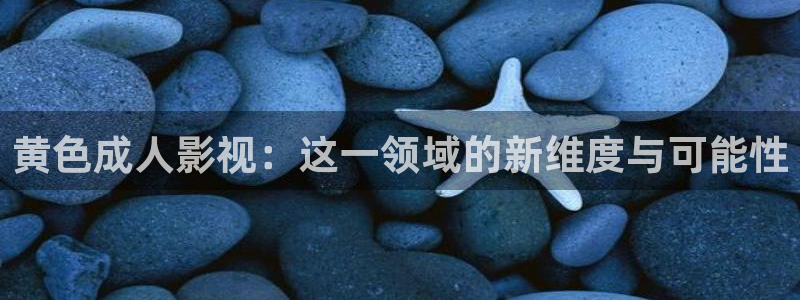 大熊猫 电影：黄色成人影视：这一领域的新维度与可能性