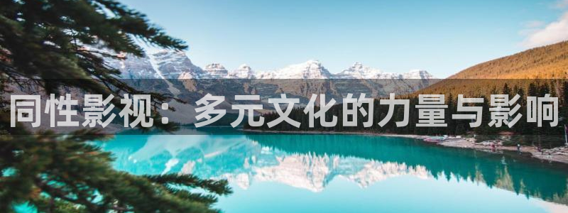 熊猫电影yy8y3全集在线观看：同性影视：多元文化的力量与影响