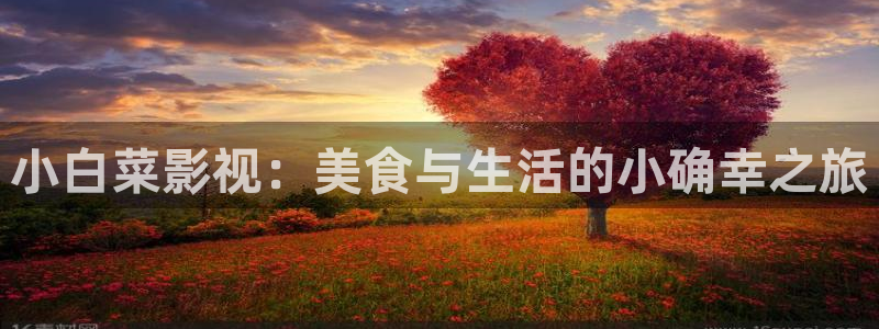 熊猫影视在线观看免费版高清：小白菜影视：美食与生活的小确幸之旅